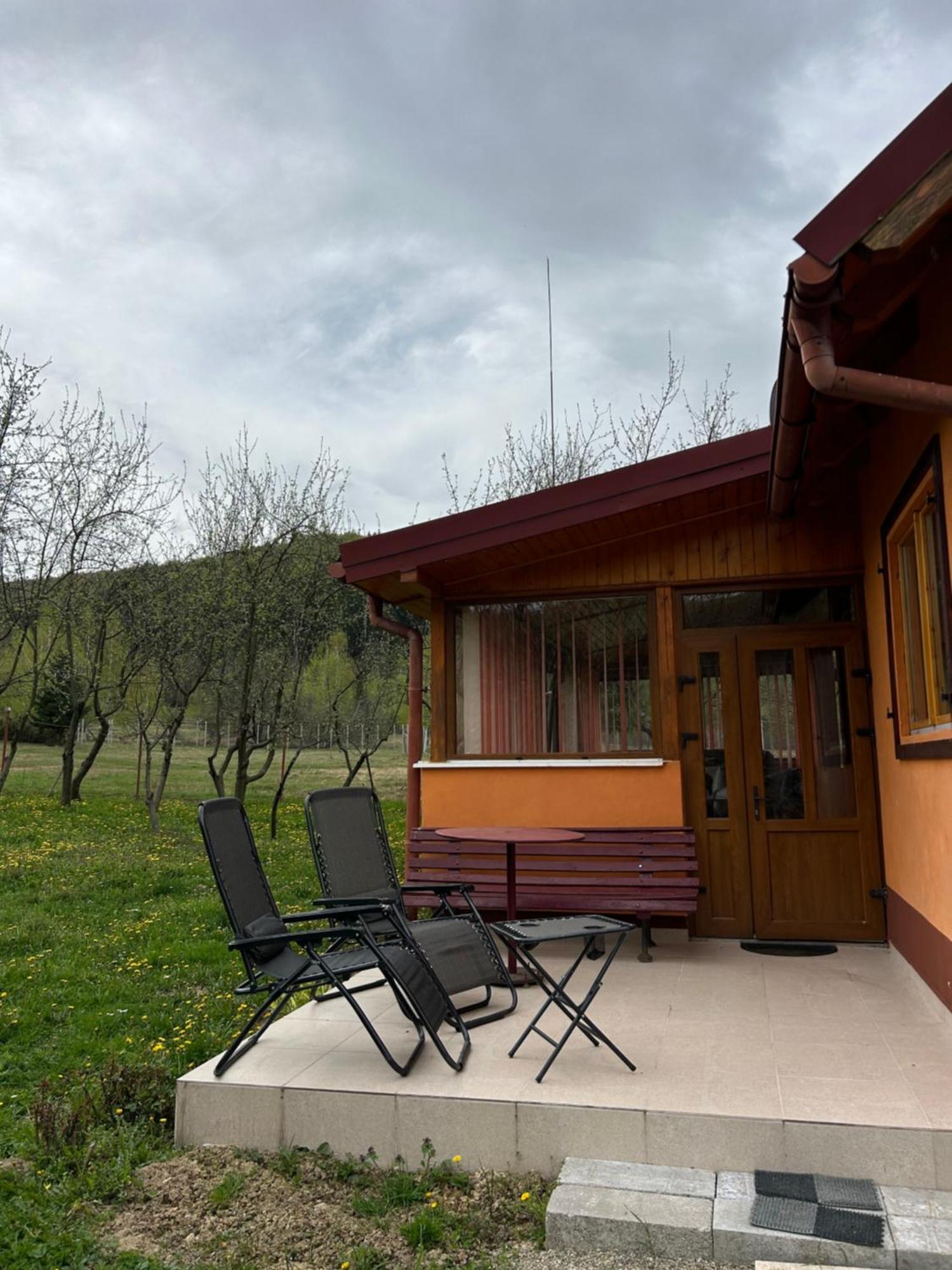 Ab'S Rustic Cabin Dejani Extérieur photo